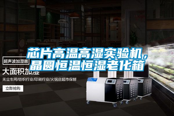芯片高温高湿实验机，晶圆恒温恒湿老化箱
