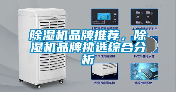 蜜柚直播APP正版下载品牌推荐，蜜柚直播APP正版下载品牌挑选综合分析