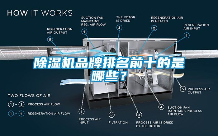蜜柚直播APP正版下载品牌排名前十的是哪些？