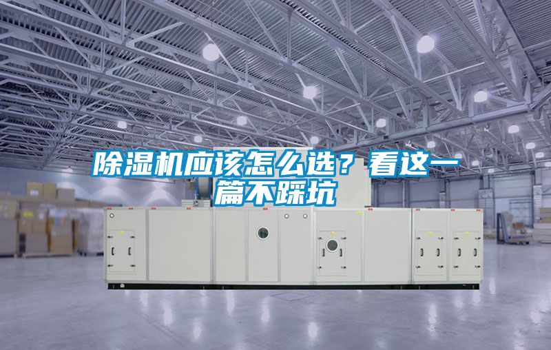 蜜柚直播APP正版下载应该怎么选？看这一篇不踩坑
