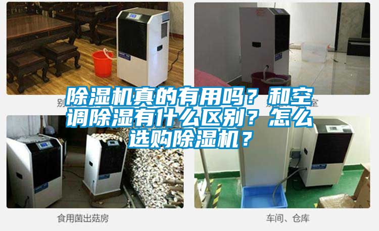 蜜柚直播APP正版下载真的有用吗？和空调除湿有什么区别？怎么选购蜜柚直播APP正版下载？