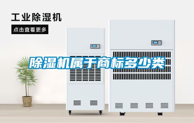 蜜柚直播APP正版下载属于商标多少类