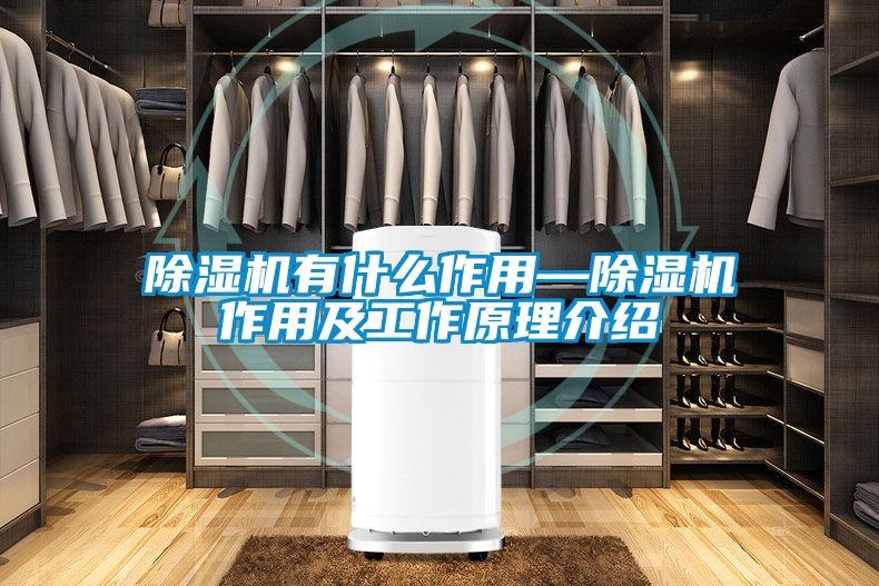 蜜柚直播APP正版下载有什么作用—蜜柚直播APP正版下载作用及工作原理介绍