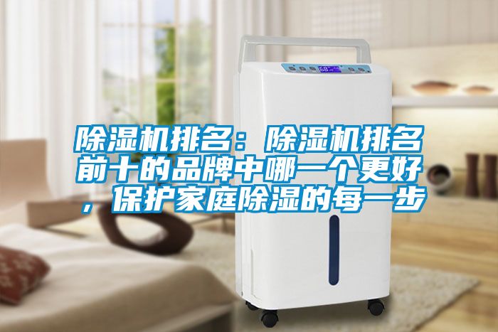 蜜柚直播APP正版下载排名：蜜柚直播APP正版下载排名前十的品牌中哪一个更好，保护家庭除湿的每一步
