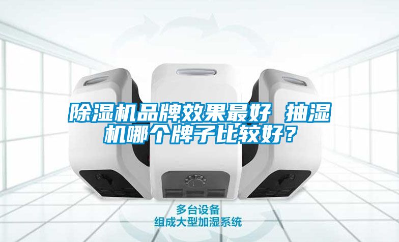 蜜柚直播APP正版下载品牌效果最好 抽湿机哪个牌子比较好？