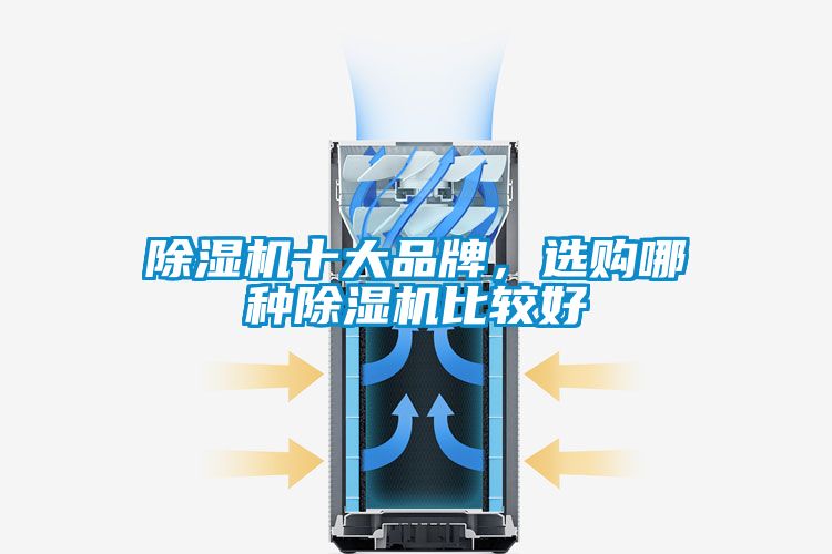 蜜柚直播APP正版下载十大品牌，选购哪种蜜柚直播APP正版下载比较好