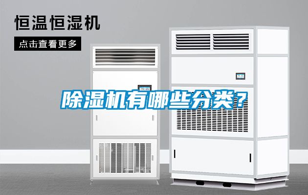 蜜柚直播APP正版下载有哪些分类？