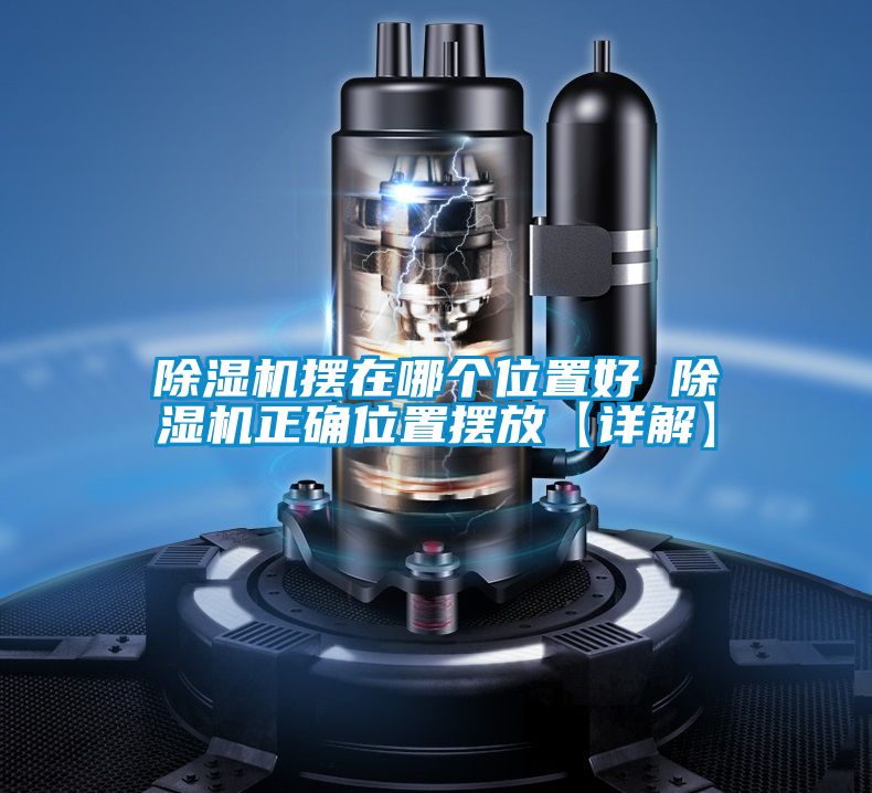 蜜柚直播APP正版下载摆在哪个位置好 蜜柚直播APP正版下载正确位置摆放【详解】