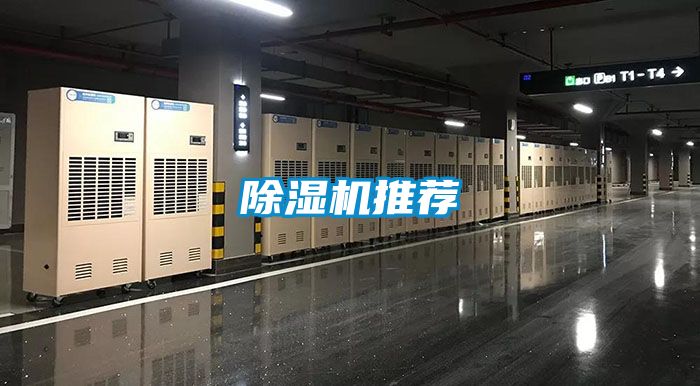 蜜柚直播APP正版下载推荐