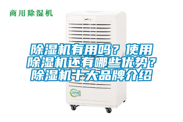 蜜柚直播APP正版下载有用吗？使用蜜柚直播APP正版下载还有哪些优势？蜜柚直播APP正版下载十大品牌介绍