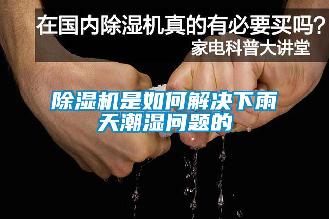 蜜柚直播APP正版下载是如何解决下雨天潮湿问题的