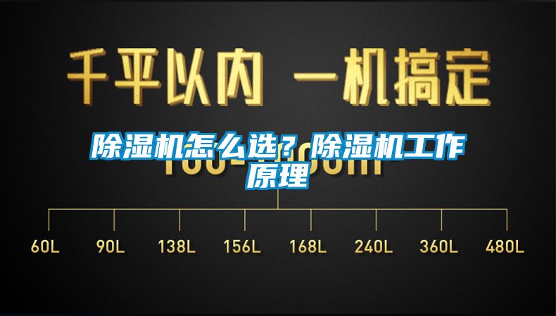 蜜柚直播APP正版下载怎么选？蜜柚直播APP正版下载工作原理