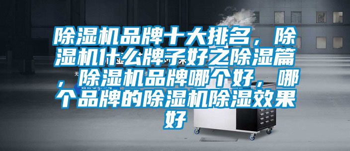 蜜柚直播APP正版下载品牌十大排名，蜜柚直播APP正版下载什么牌子好之除湿篇，蜜柚直播APP正版下载品牌哪个好，哪个品牌的蜜柚直播APP正版下载除湿效果好