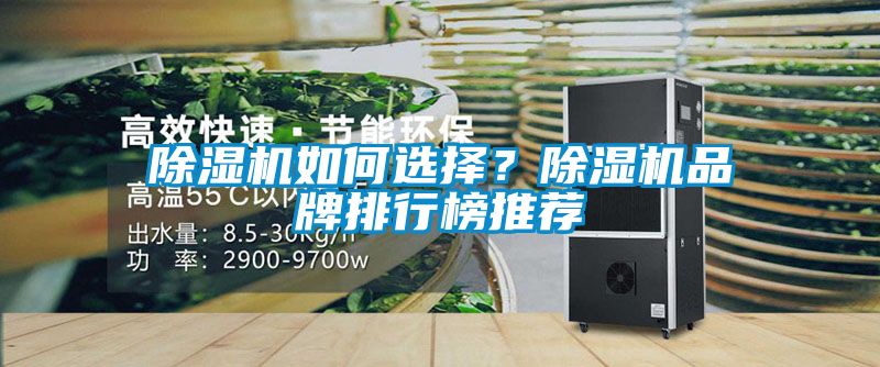 蜜柚直播APP正版下载如何选择？蜜柚直播APP正版下载品牌排行榜推荐