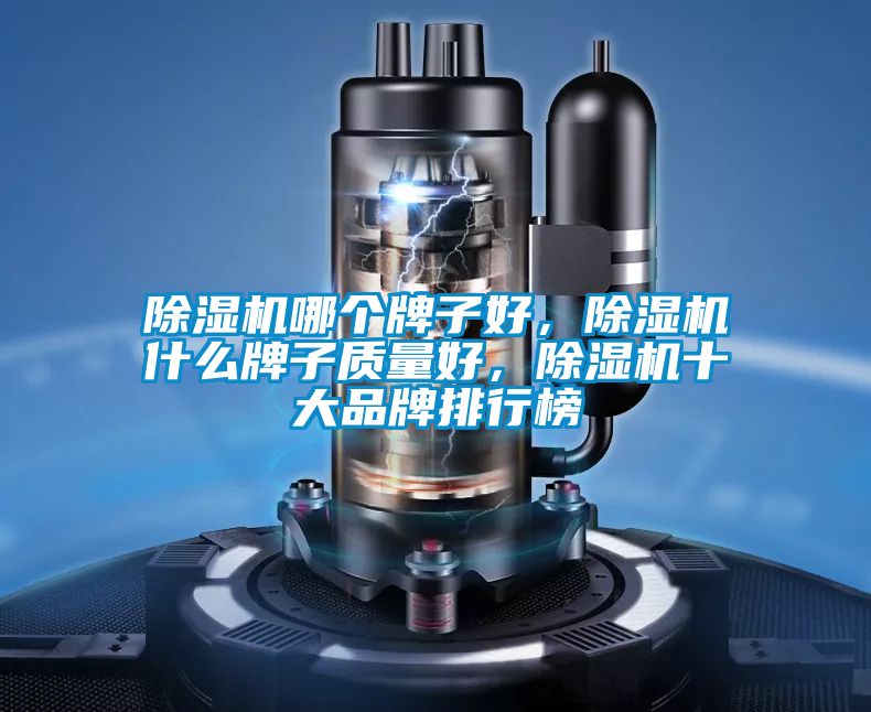 蜜柚直播APP正版下载哪个牌子好，蜜柚直播APP正版下载什么牌子质量好，蜜柚直播APP正版下载十大品牌排行榜
