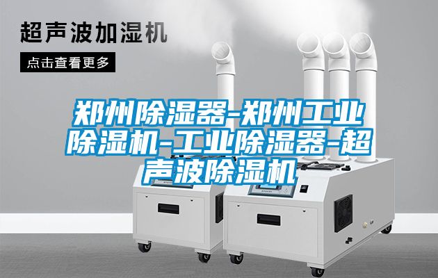 郑州除湿器-郑州工业蜜柚直播APP正版下载-工业除湿器-超声波蜜柚直播APP正版下载