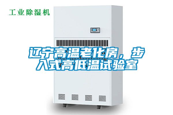 辽宁高温老化房，步入式高低温试验室