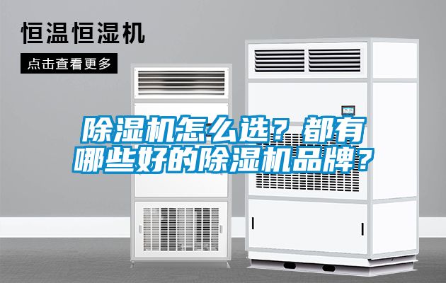 蜜柚直播APP正版下载怎么选？都有哪些好的蜜柚直播APP正版下载品牌？