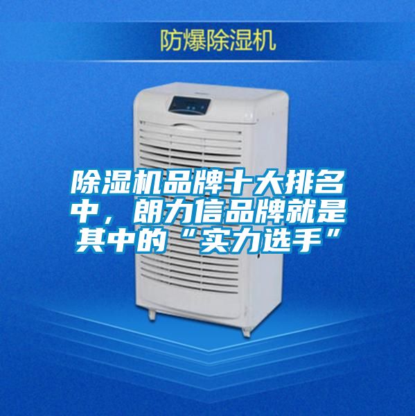 蜜柚直播APP正版下载品牌十大排名中，朗力信品牌就是其中的“实力选手”