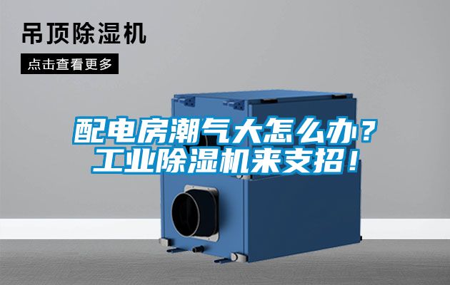 配电房潮气大怎么办？工业蜜柚直播APP正版下载来支招！
