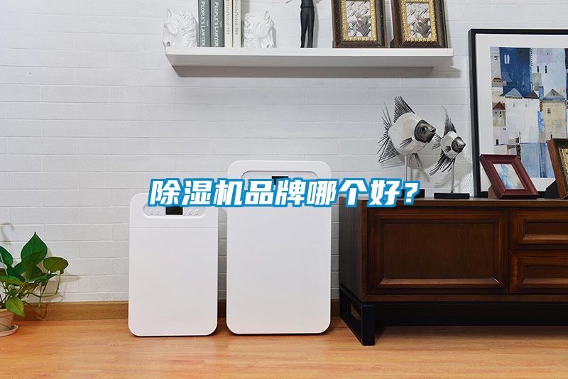 蜜柚直播APP正版下载品牌哪个好？