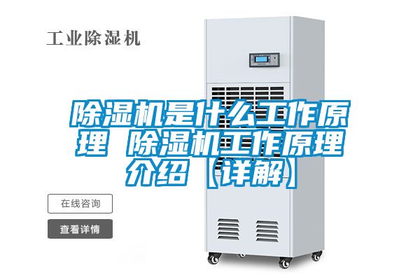 蜜柚直播APP正版下载是什么工作原理 蜜柚直播APP正版下载工作原理介绍【详解】