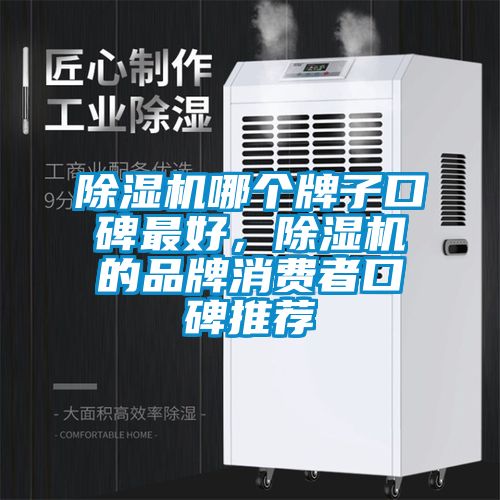 蜜柚直播APP正版下载哪个牌子口碑最好，蜜柚直播APP正版下载的品牌消费者口碑推荐