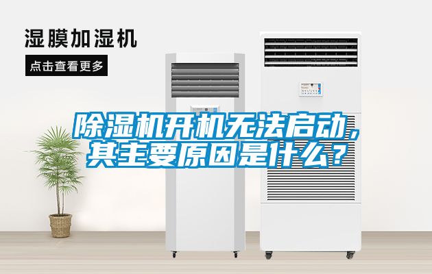 蜜柚直播APP正版下载开机无法启动，其主要原因是什么？