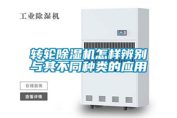 转轮蜜柚直播APP正版下载怎样辨别与其不同种类的应用