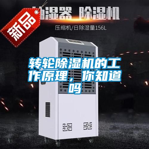 转轮蜜柚直播APP正版下载的工作原理，你知道吗