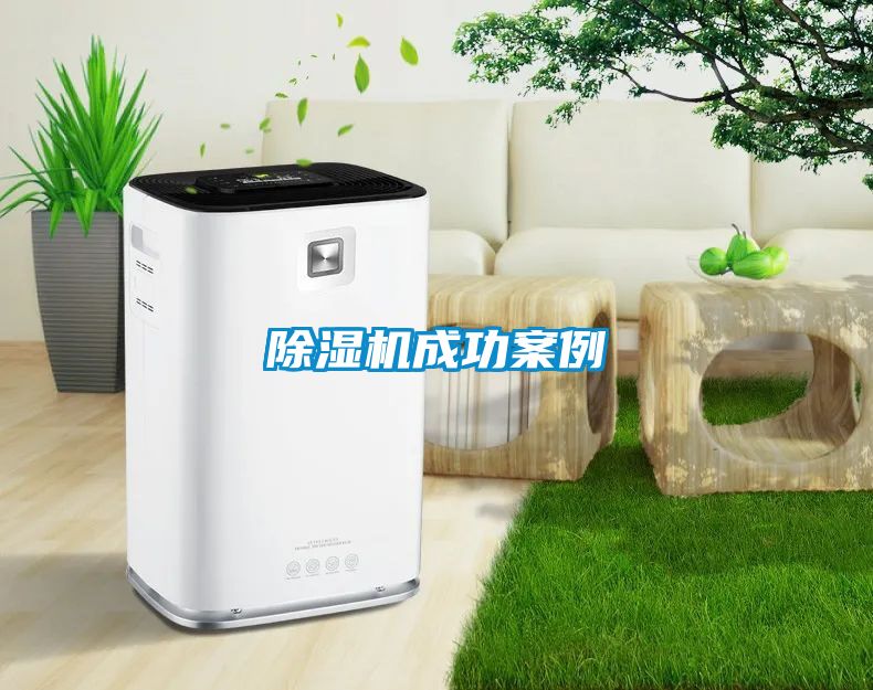 蜜柚直播APP正版下载成功案例