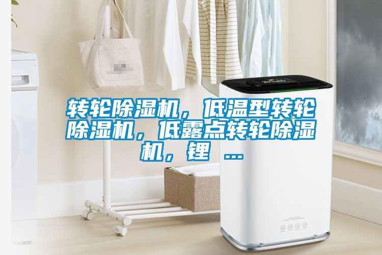 转轮蜜柚直播APP正版下载，低温型转轮蜜柚直播APP正版下载，低露点转轮蜜柚直播APP正版下载，锂 ...
