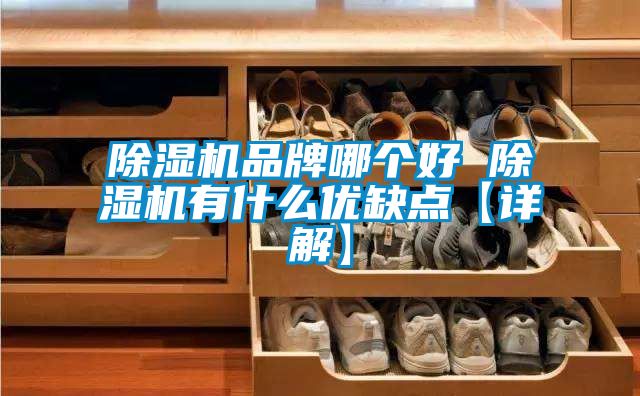 蜜柚直播APP正版下载品牌哪个好 蜜柚直播APP正版下载有什么优缺点【详解】