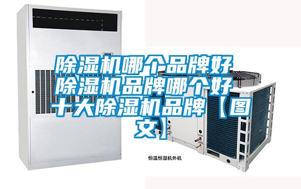 蜜柚直播APP正版下载哪个品牌好 蜜柚直播APP正版下载品牌哪个好 十大蜜柚直播APP正版下载品牌【图文】