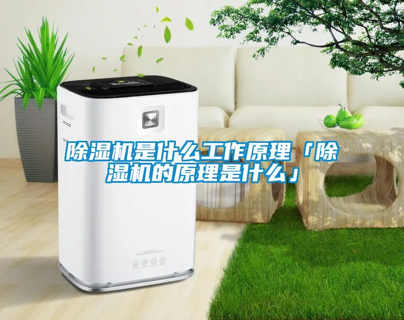 蜜柚直播APP正版下载是什么工作原理「蜜柚直播APP正版下载的原理是什么」