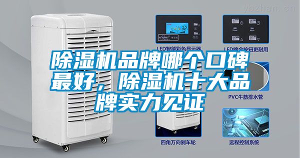 蜜柚直播APP正版下载品牌哪个口碑最好，蜜柚直播APP正版下载十大品牌实力见证