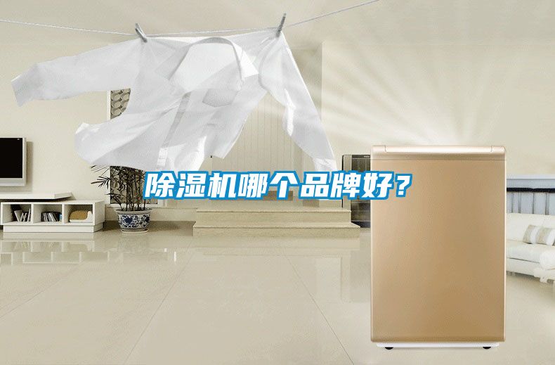 蜜柚直播APP正版下载哪个品牌好？