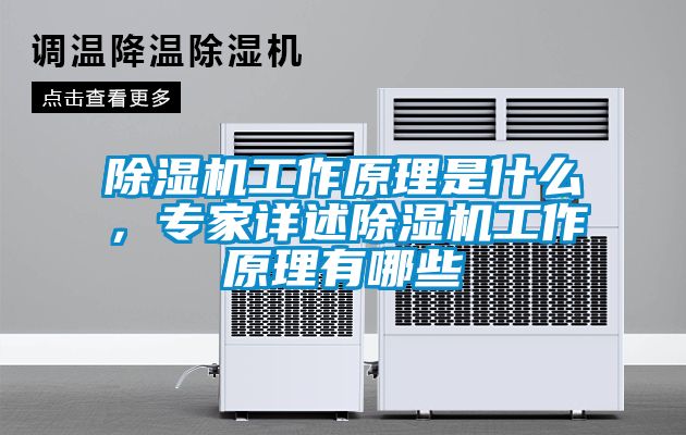 蜜柚直播APP正版下载工作原理是什么，专家详述蜜柚直播APP正版下载工作原理有哪些