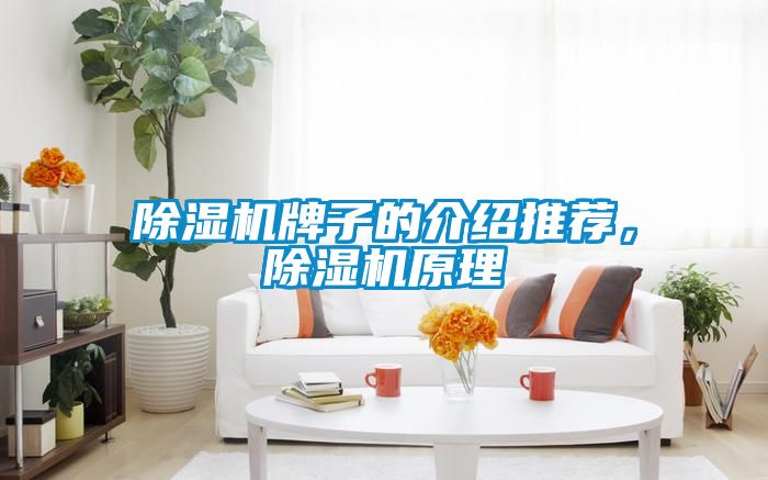 蜜柚直播APP正版下载牌子的介绍推荐，蜜柚直播APP正版下载原理