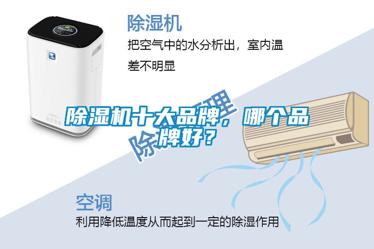蜜柚直播APP正版下载十大品牌，哪个品牌好？