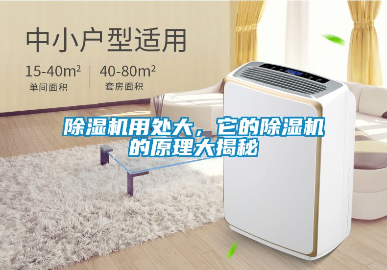 蜜柚直播APP正版下载用处大，它的蜜柚直播APP正版下载的原理大揭秘