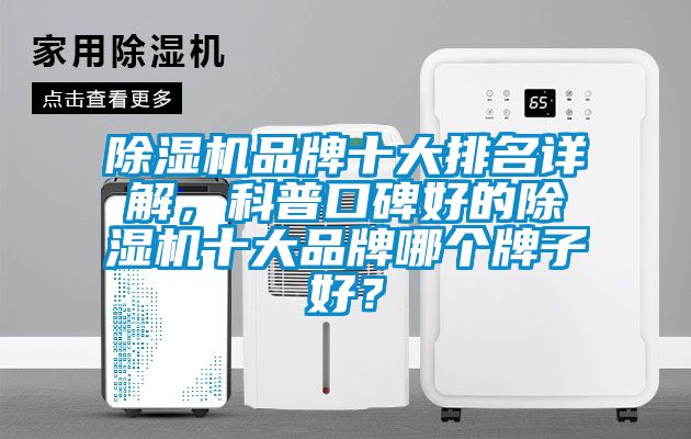 蜜柚直播APP正版下载品牌十大排名详解，科普口碑好的蜜柚直播APP正版下载十大品牌哪个牌子好？
