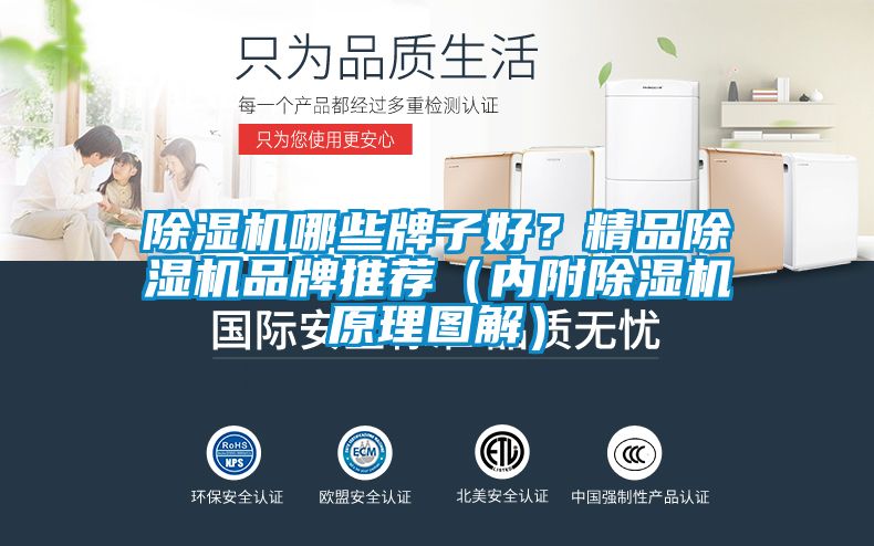 蜜柚直播APP正版下载哪些牌子好？精品蜜柚直播APP正版下载品牌推荐（内附蜜柚直播APP正版下载原理图解）