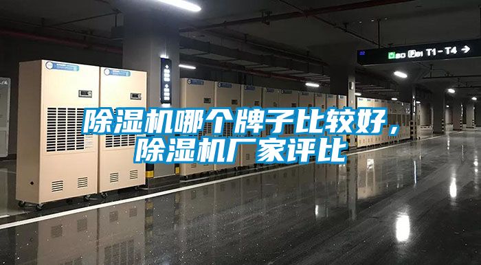 蜜柚直播APP正版下载哪个牌子比较好，蜜柚直播APP正版下载厂家评比