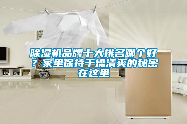 蜜柚直播APP正版下载品牌十大排名哪个好？家里保持干燥清爽的秘密在这里