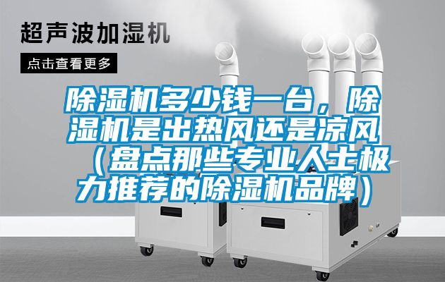 蜜柚直播APP正版下载多少钱一台，蜜柚直播APP正版下载是出热风还是凉风（盘点那些专业人士极力推荐的蜜柚直播APP正版下载品牌）