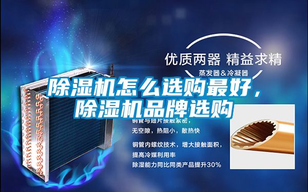 蜜柚直播APP正版下载怎么选购最好，蜜柚直播APP正版下载品牌选购