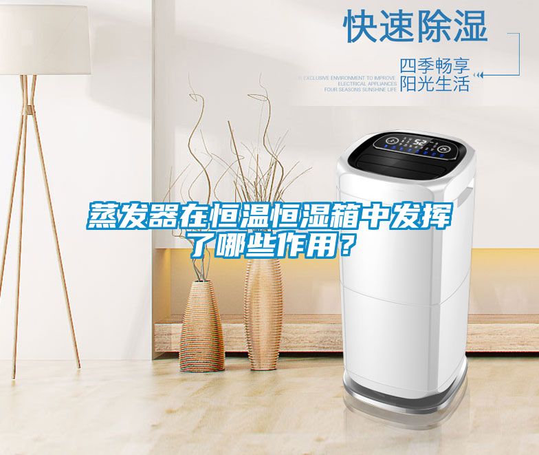 蒸发器在恒温恒湿箱中发挥了哪些作用？