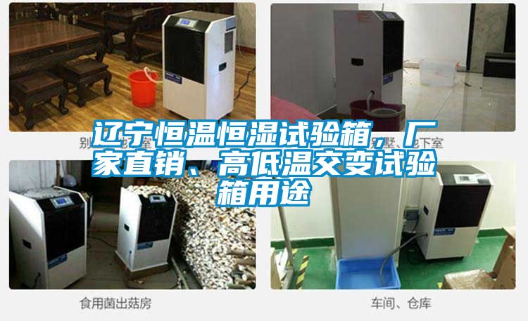 辽宁恒温恒湿试验箱，厂家直销、高低温交变试验箱用途