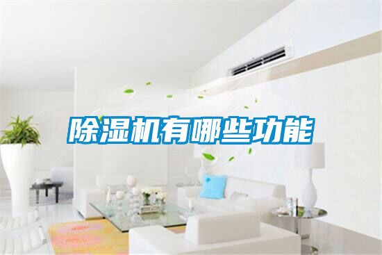 蜜柚直播APP正版下载有哪些功能